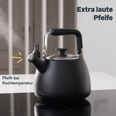 Teekanne mit Wasserkessel & Aufbewahrungsdose Set