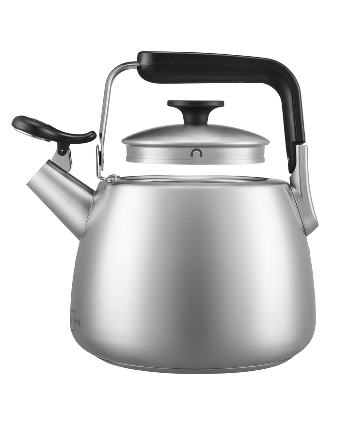 Wasserkessel 1,9 Liter - silber